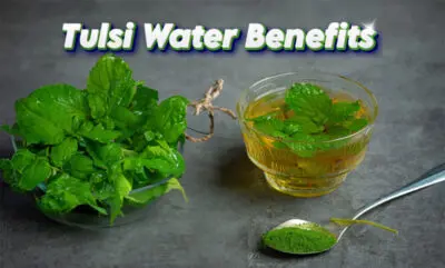 Tulsi Water Benefits