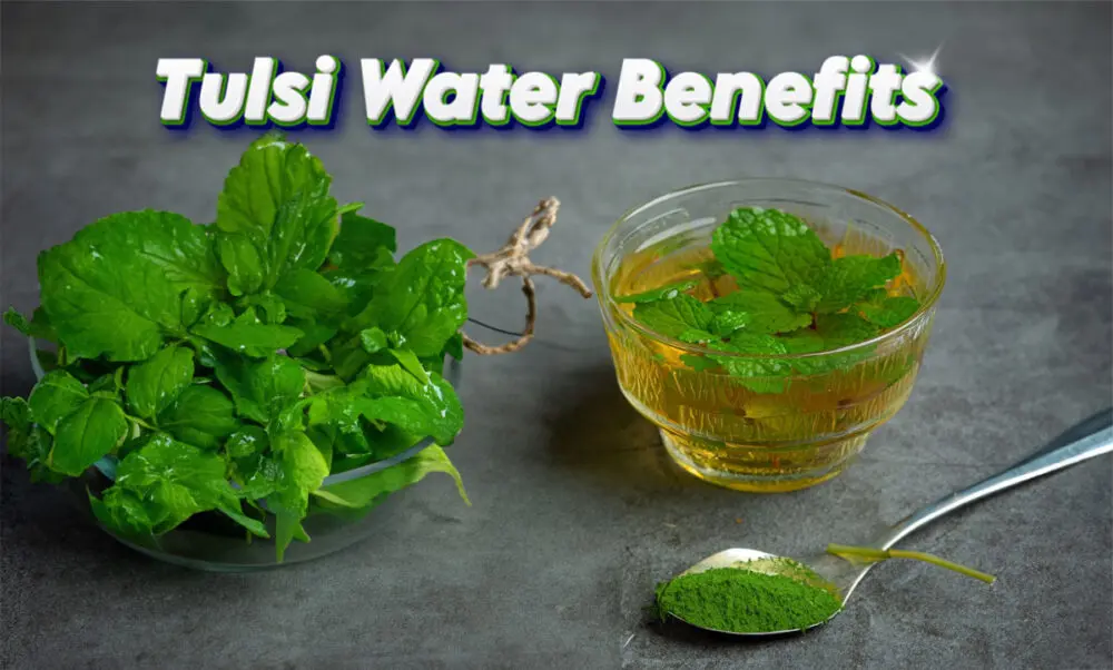 Tulsi Water Benefits