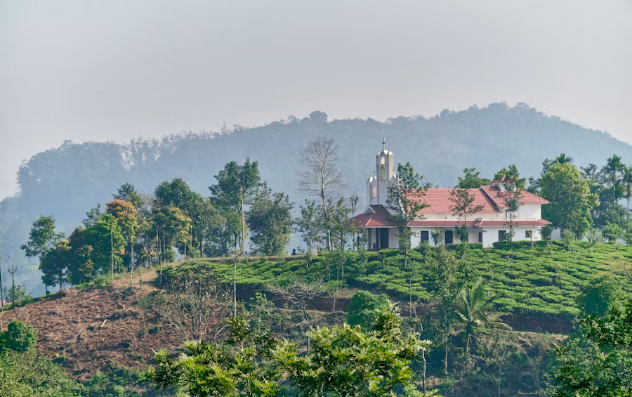 Kerala: Paradise of India 7 Wayanad, Kerala - Nature's Abode