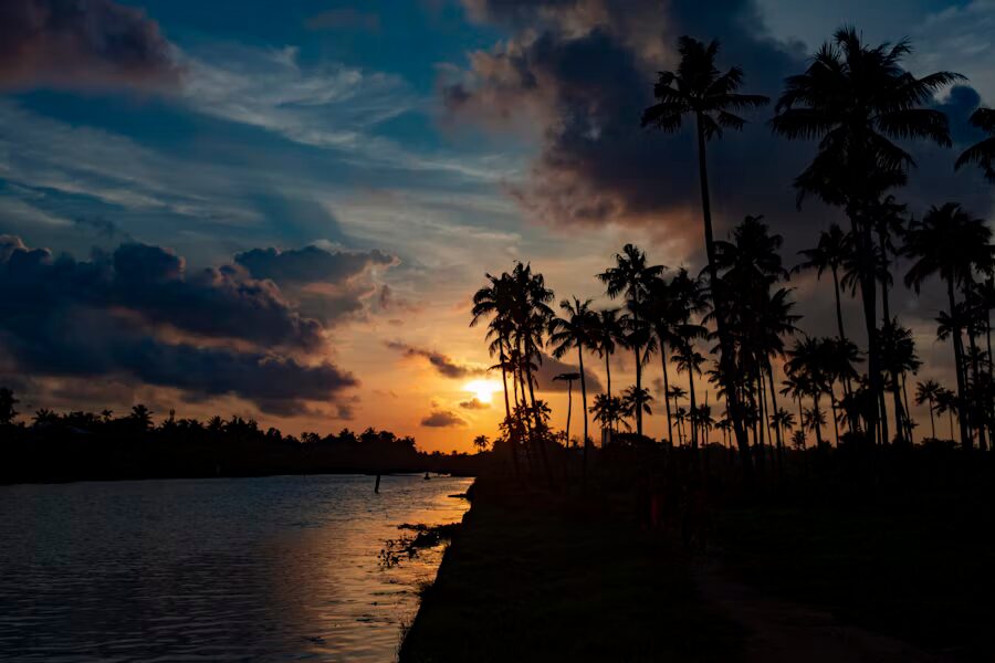Kerala: Paradise of India 4 Kochi, Kerala - A Blend of Modernity and Tradition