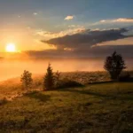 There is an amazing place in Pilibhit, Uttar Pradesh, see the spectacular view of sunset among tigers, Goa will fail 2 place in Pilibhit