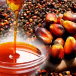 Palm Oil Uses and Production