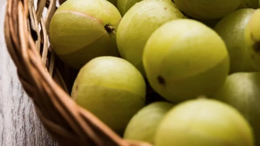 Amla Kacchi Haldi Thecha: A Flavourful And Nutritious Recipe To Amp Up Your Winter Meals 5 Amla Kacchi Haldi Thecha