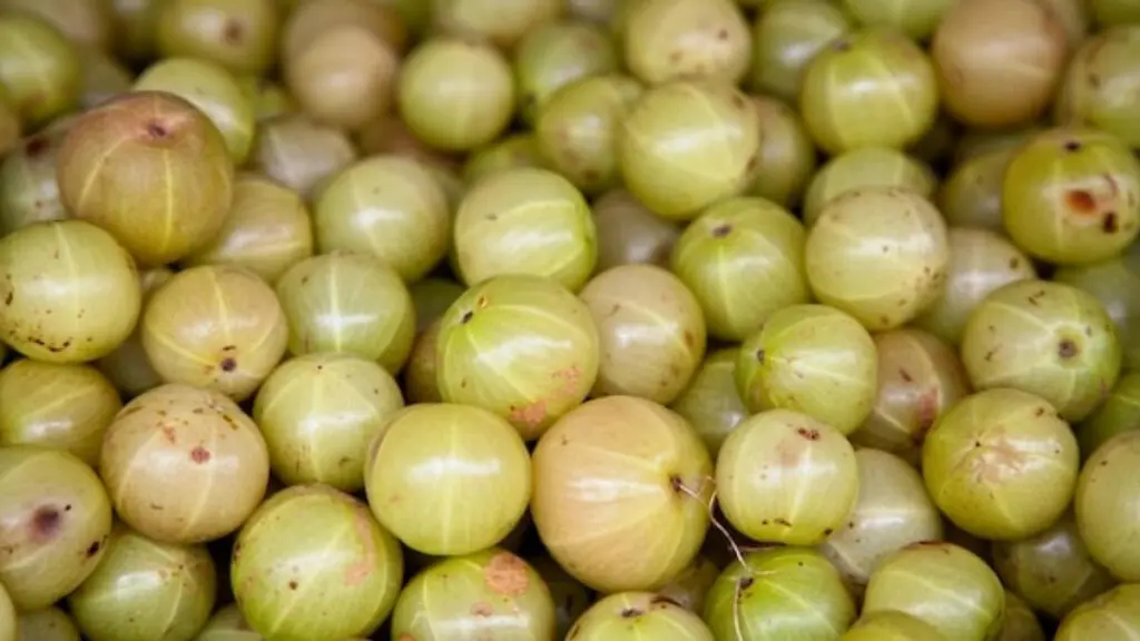 Struggling With Low Winter Immunity? This Amlaprash Recipe Has Come To Your Rescue 6 Amlaprash Recipe