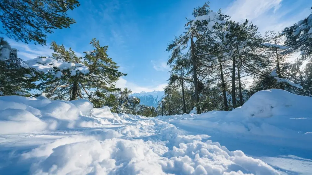Tourism Will Get Wings In Mainpat, Mall Road Will Be Built On The Lines Of Shimla-Manali 5 Tourism Will Get Wings In Mainpat