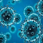 HMPV Cases Confirmed In India