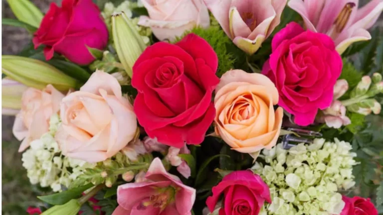 Rose Day: Every Rose Color Has a Special Meaning, Know Before Gifting