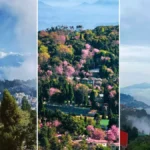 East India This April-May