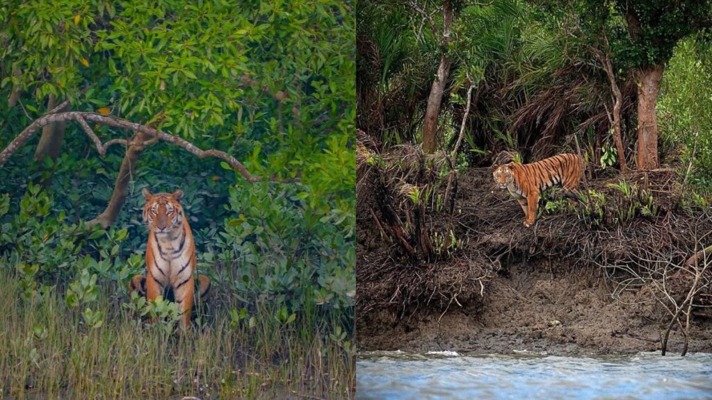 5 Best Places to Visit in East India This April-May — Even Shimla-Manali Can’t Compare 7 East India This April-May