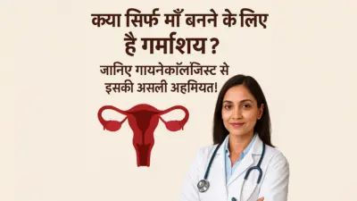 Uterus Importance