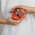 Early Morning Signs of Stomach Cancer Don’t Rely on Home Remedies, See a Doctor Immediately