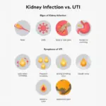 These Symptoms in Urine Could Indicate Kidney Swelling – Identify the Signs and See a Doctor Immediately!