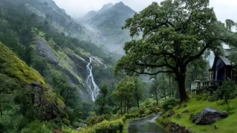 Coimbatore In July: A Local’s Guide To Monsoon Adventures, Food & More