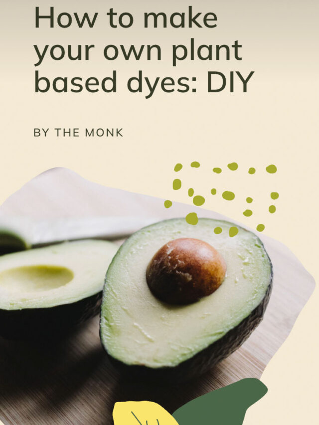 How to make your own plant based dyes: DIY