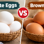 White Eggs or Brown Eggs: What’s the Difference, and Which Ones Are Better?